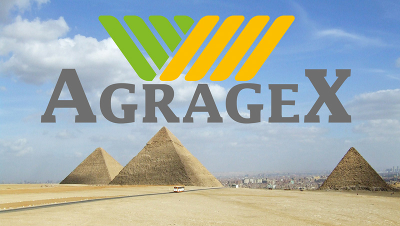 egypt Agragex